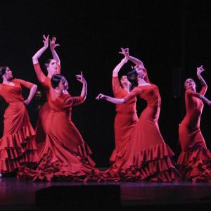 Fotografía de Talleres Danza Española (galería 2) - Conservatorio de Danza